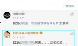 网红黑料网址,揭开网络舆论背后的真相